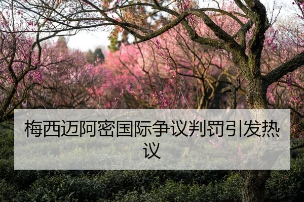 梅西迈阿密国际争议判罚引发热议