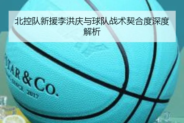 北控队新援李洪庆与球队战术契合度深度解析